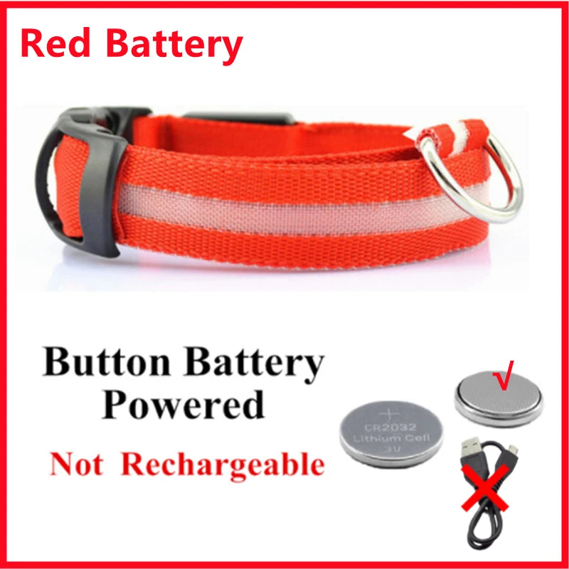 Collar LED Luminoso para Perros — Seguridad Nocturna