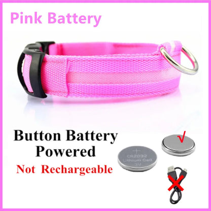 Collar LED Luminoso para Perros — Seguridad Nocturna