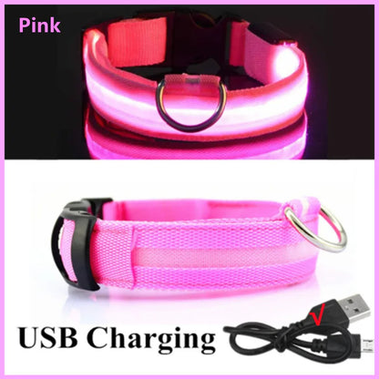 Collar LED Luminoso para Perros — Seguridad Nocturna