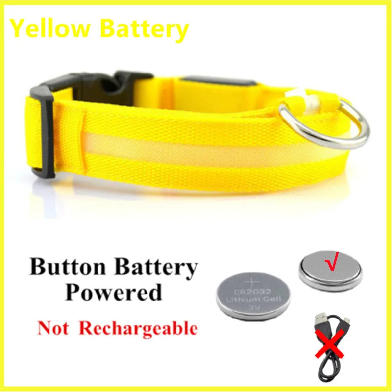 Collar LED Luminoso para Perros — Seguridad Nocturna