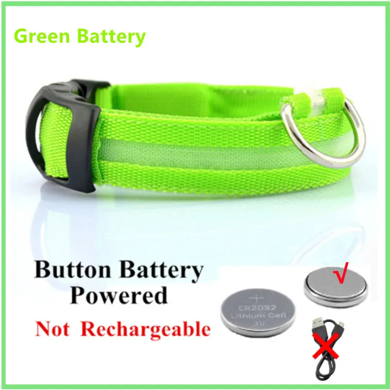 Collar LED Luminoso para Perros — Seguridad Nocturna