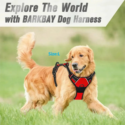Arnés Ajustable para Perros y Gatos