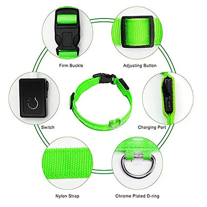 Collar LED Luminoso para Perros — Seguridad Nocturna