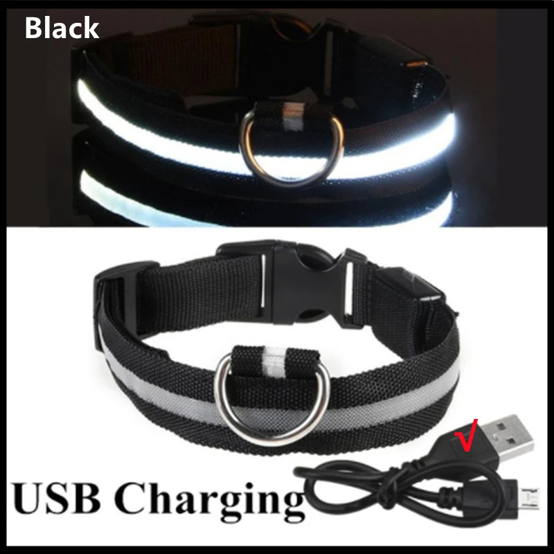 Collar LED Luminoso para Perros — Seguridad Nocturna
