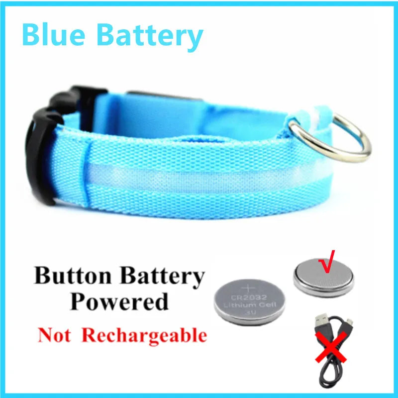 Collar LED Luminoso para Perros — Seguridad Nocturna