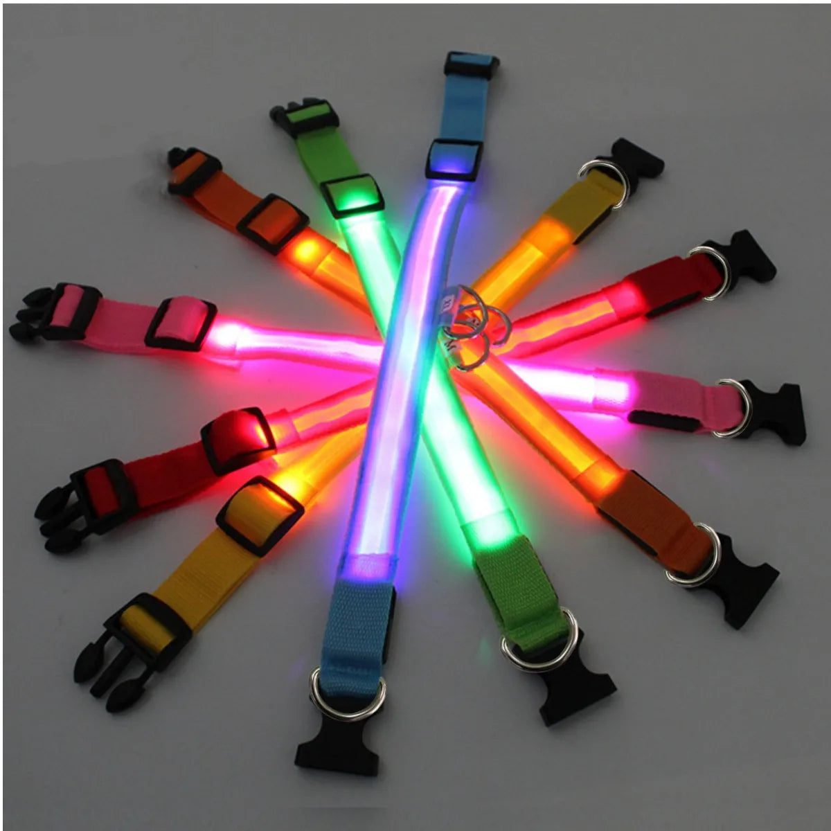 Collar LED Luminoso para Perros — Seguridad Nocturna