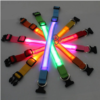 Collar LED Luminoso para Perros — Seguridad Nocturna