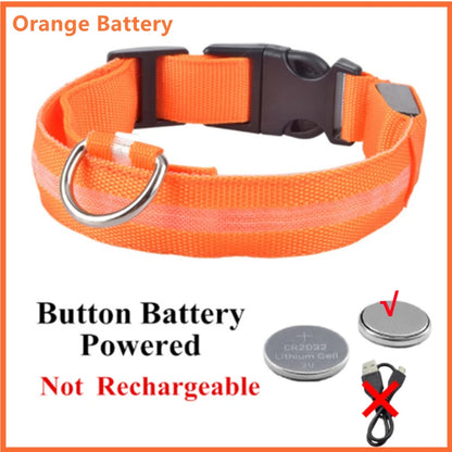 Collar LED Luminoso para Perros — Seguridad Nocturna