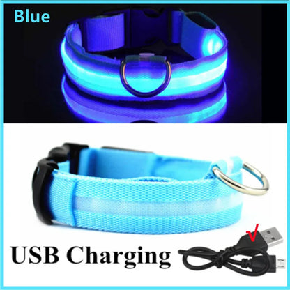 Collar LED Luminoso para Perros — Seguridad Nocturna