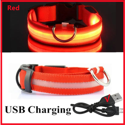 Collar LED Luminoso para Perros — Seguridad Nocturna