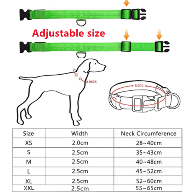 Collar LED Luminoso para Perros — Seguridad Nocturna