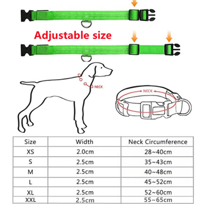 Collar LED Luminoso para Perros — Seguridad Nocturna
